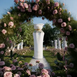 JOY - Maison Asrar